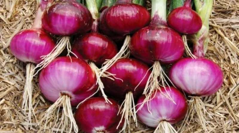 Farmers gets some money for cultivates onion in South Dinajpur ।Sangbad Pratidin