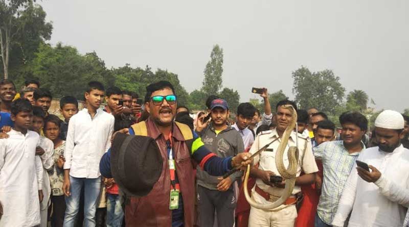 Forest department ordered to arrest a snake catcher