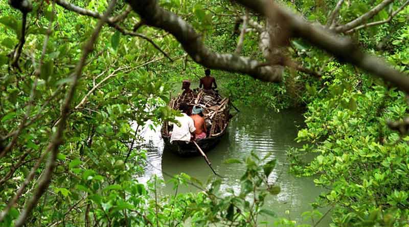Tourist dies of drowning in Sunderbans, body recovered
