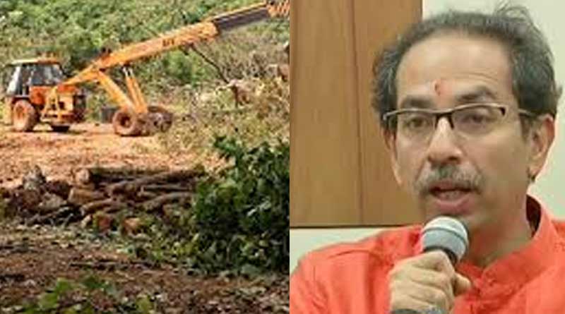 'No leaf will be cut till may next decision', announces Maharasthra CM