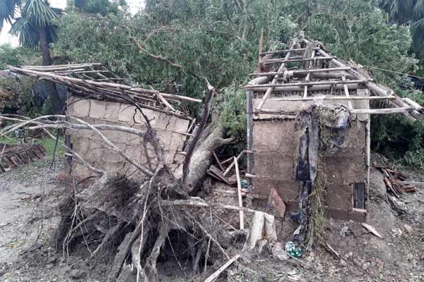 Cyclone Bulbul to hit Bengal with heavy rains, winds