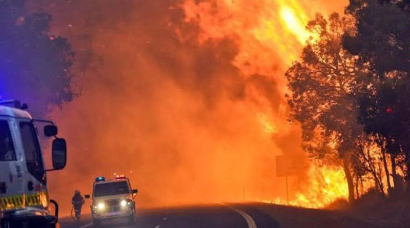 Australia: State of emergency declared over 'catastrophic'