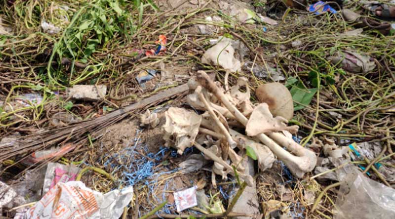 Human remains found in Kolkata's Thakurpurkhur area