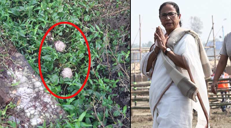 Mamata alleges hooliganism in the name of enforcing Bandh