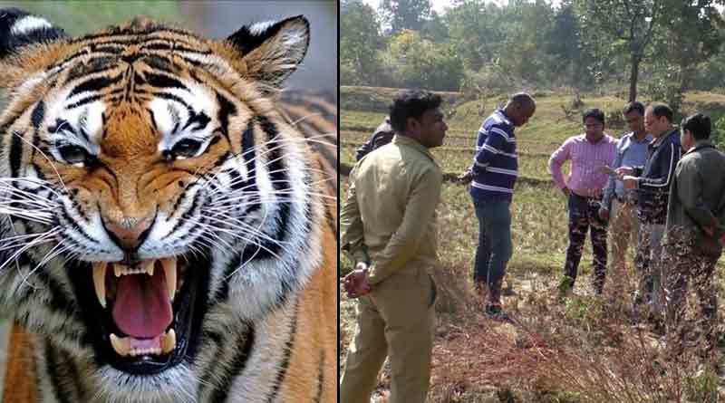 Pugmark of tiger found in Bankura's Barikul, says forest department