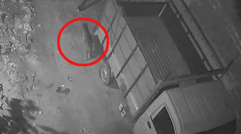 Unknown animal spread fear in Konnagar, forest department identified the animal