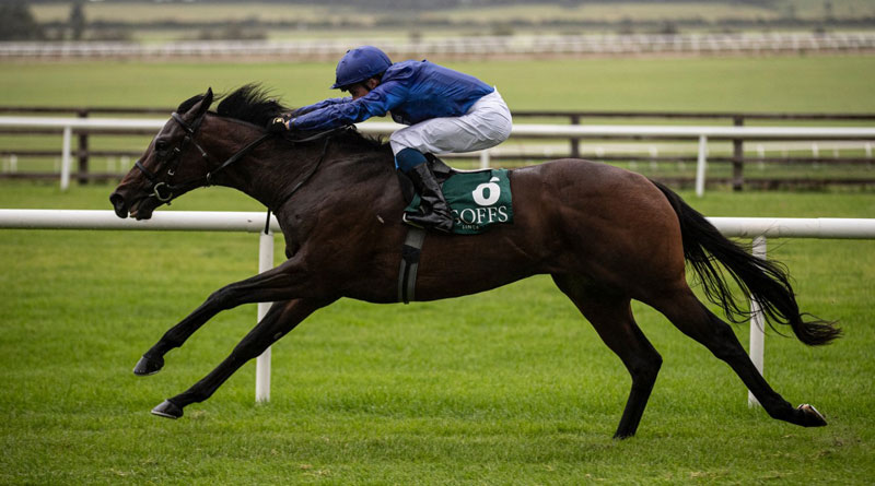 Pak rider Usman’s ‘Azad Kashmir’ horse likely to run in Tokyo 2020
