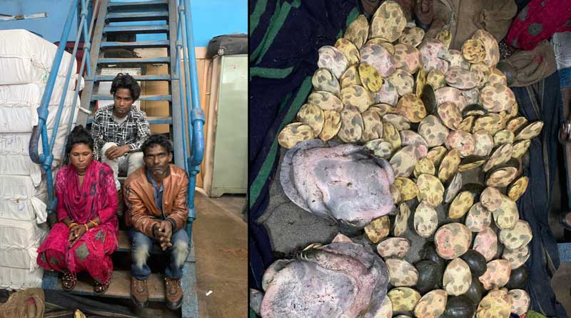 3 Passenger held for tortoise smuggling at Howrah Station