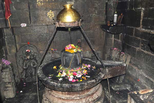 Shiba Lingam