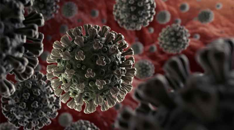 Delhi schools, colleges, cinemas shut till March 31 due to Coronavirus