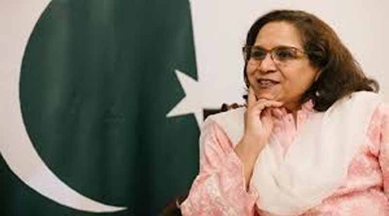Students should stay in Wuhan as Pakistan cant treat coronavirus: Envoy.