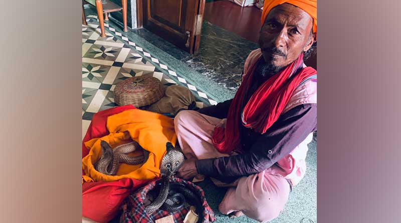 Snake catcher arrested from Hatibagan with 12 snakes