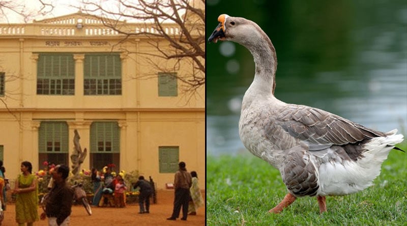 'Visva-Bharati University a goose laying golden egg: VC Bidyut Chakraborty