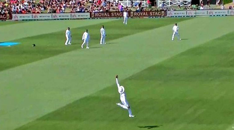 Video of Ravindra Jadeja's ‘catch of the decade’ goes viral