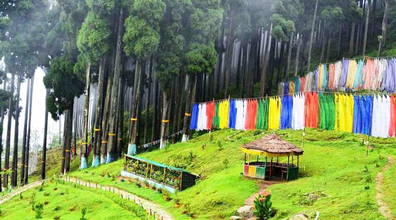 Amid of Corona outbreak, Lamahatta could be your fav destination