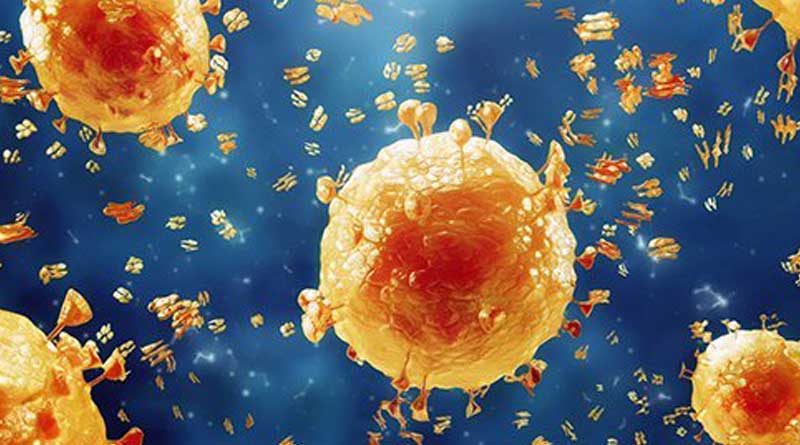 Amidst Corona Scare, A family of Kolkata affected by Swine Flu