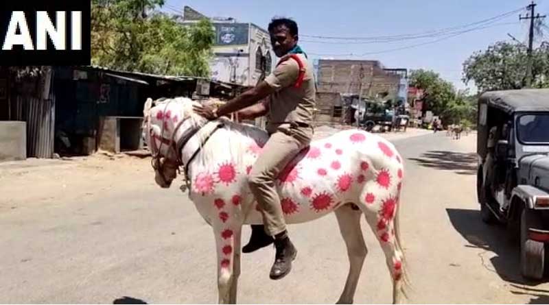 Andhra Pradesh: Sub Inspector rides horse painted with images of Corona