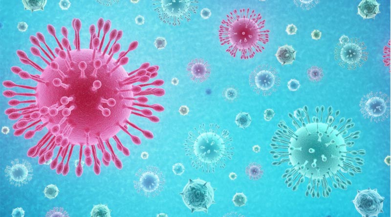 corona Virus
