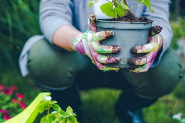 Gardening