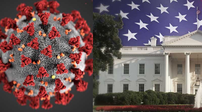 Anthony Fauci, 2 other US virus task force members in quarantine