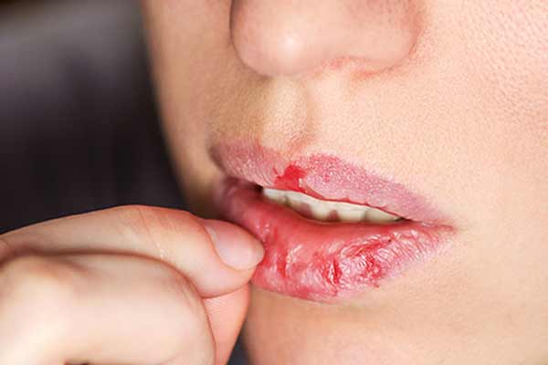 Lip