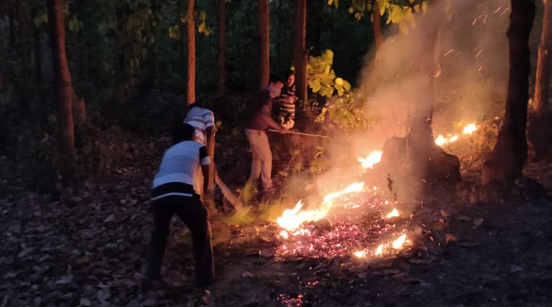 Fire at Purulia ayodhya hill forest, animal's are in danger