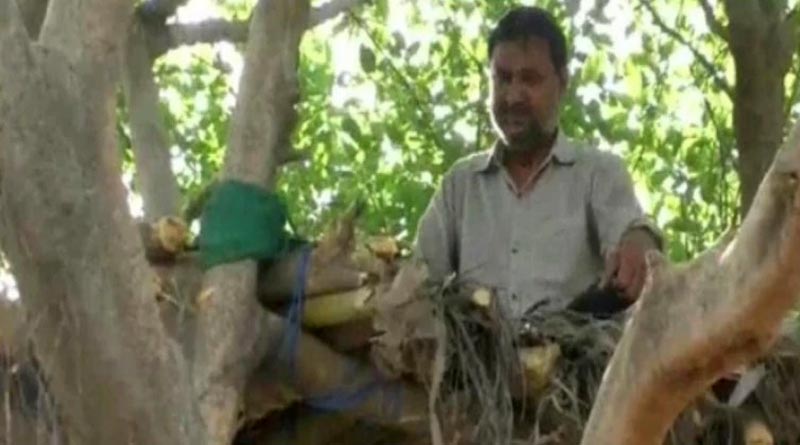 UP man builds treehouse to maintain social distancing