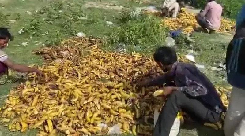 Migrants Pick Bananas Trashed Near Delhi Cremation Ground