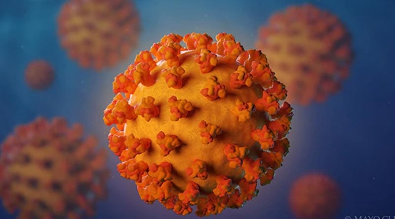 Coronavirus Outbreak: Seven persons died in West Bengal, doctors announce today