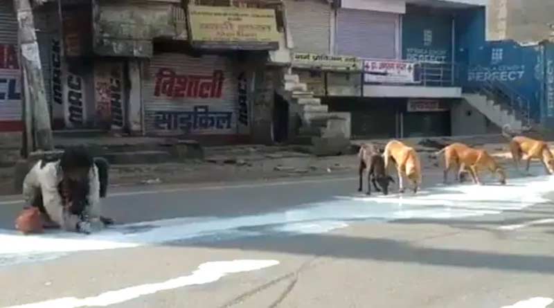 Man and dog shares split milk on road of UttarPradesh