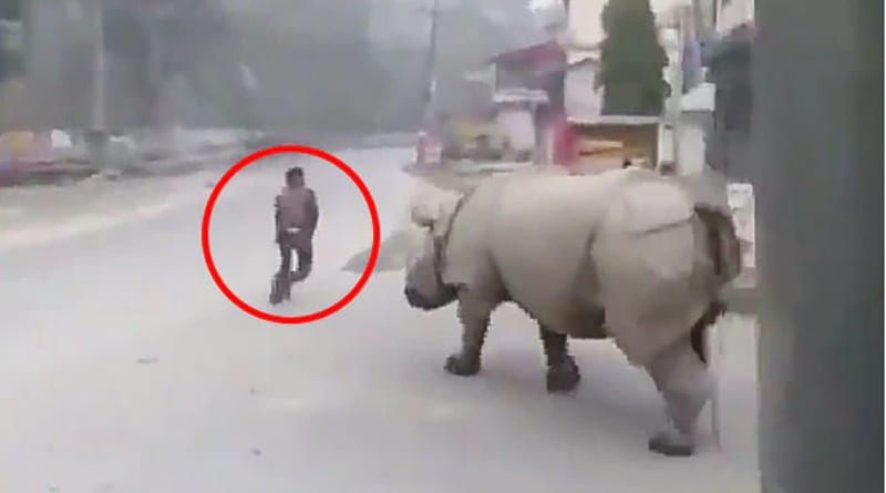 Rhino Takes To The Streets during lockdown period