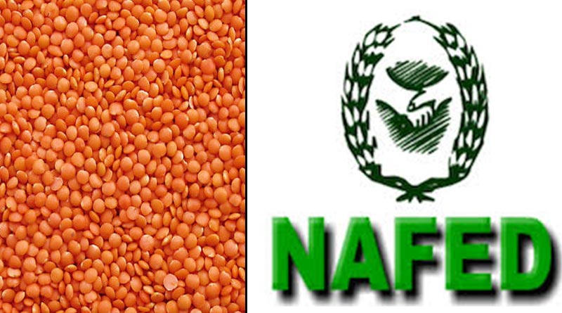 Won't able to send more Lentil, NAFED tells State Govt.