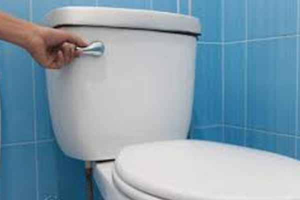 Toilet Flush