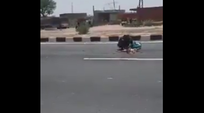 Caught on camera: Starving man found eating dead dog near Jaipur
