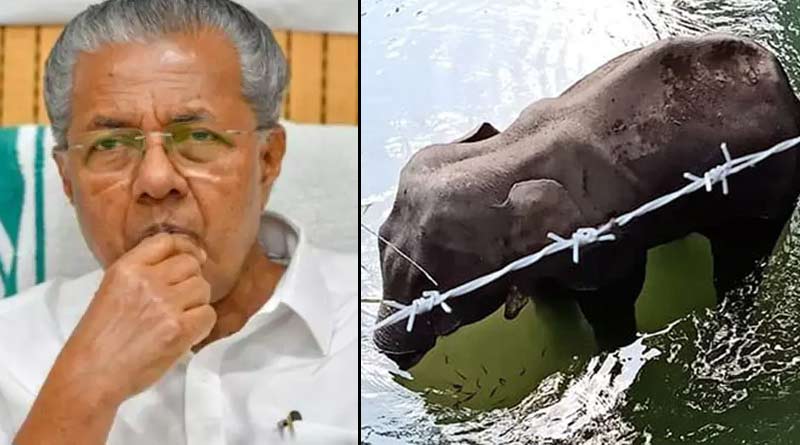 3 suspects on killing of pregnant elephant, tweeted Kerala's CM