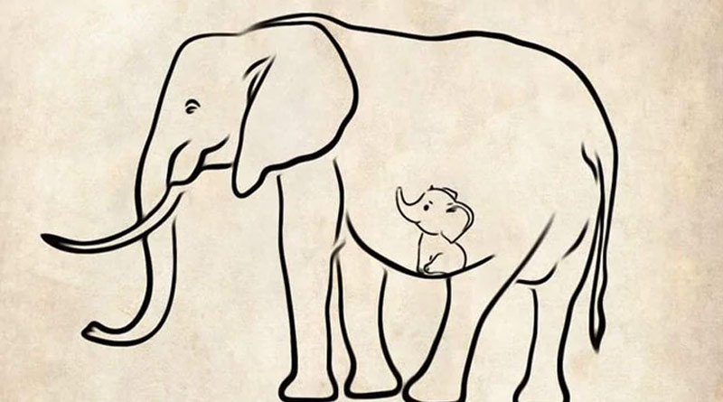 FIR againt unidentified people to feed elephant cracker filled pineapple in Kerala