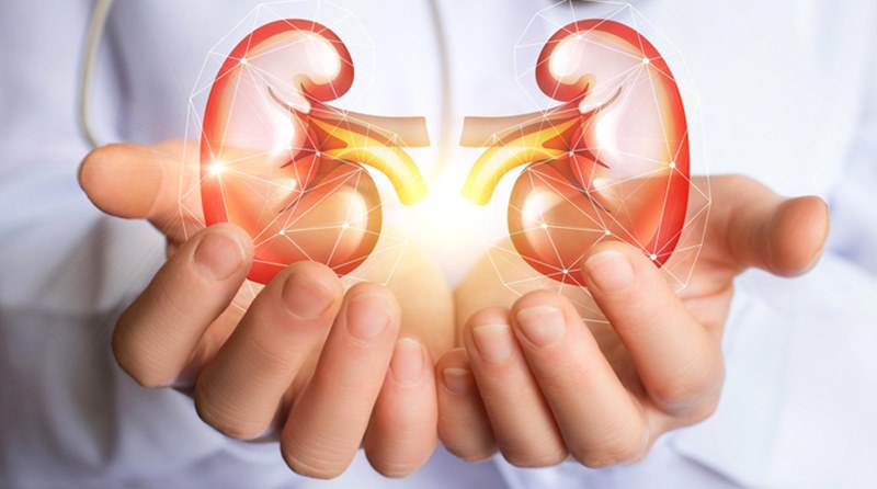 BSNL worker posted on social media to sell kidneys