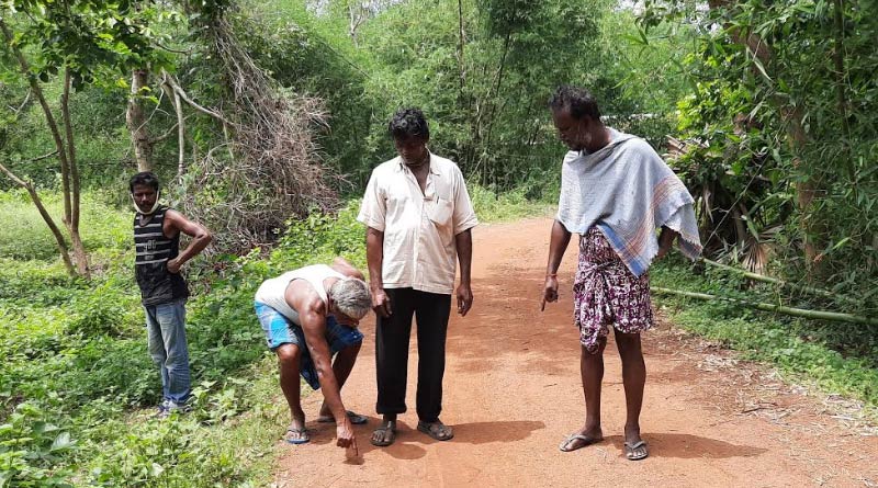 An unknown animal spread fear in midnapore's salbani