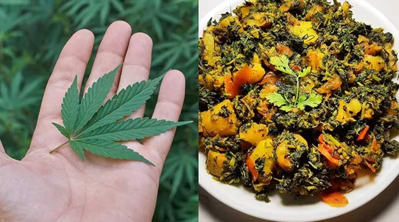 OMG! UP family cooks 'ganja sabzi', eats thinking that it is 'methi'