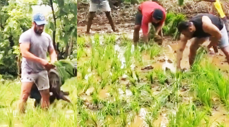 Salman Khan enjoys rice saplings in ankle-deep water
