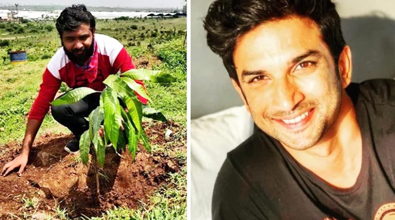 Sushant's fan planted thousands saplings to save environment