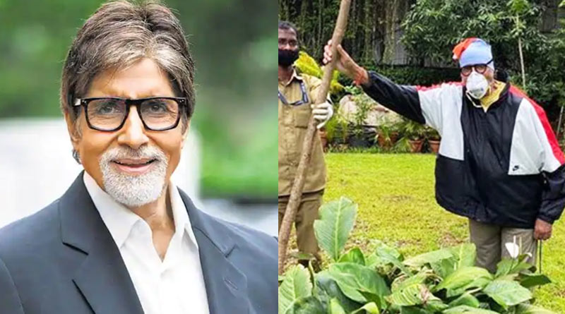 Amitabh Bachchan recovered from COVID-19, plants Gulmohar tree
