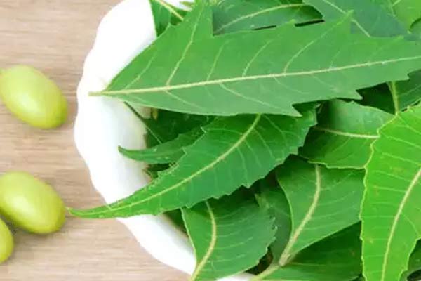 Neem