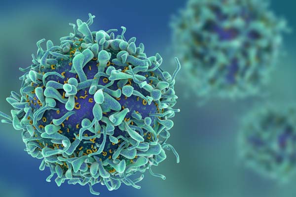 T-cell-1