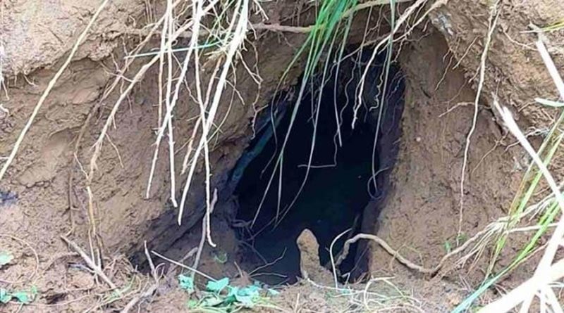 BSF Detects Long Tunnel Along India-Pak Border In Jammu