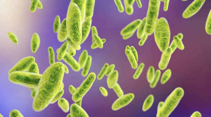 Thousands in China Test Positive for a Bacterial Infection That Can Leave Men Infertile । Sangbad Pratidin