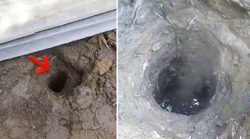 Panic among the villagers at Bongaon as pit spews fire
