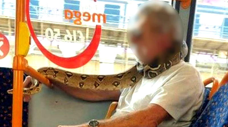 Offbeat News: Bus Passenger Uses Python as 'Face Mask' in CoronaVirus Situation | Sangbad Pratidin