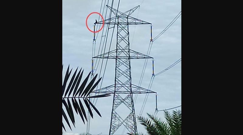 Asansol's Barabani incident: Woman climbs electric tower after brawl with husband | Sangbad Pratidin