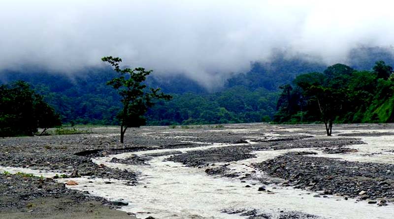 Travel news in Bengali: Raimatang of North Benglal is the new destination for nature lovers | Sangbad Pratidin